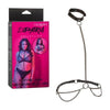 Euphoria Chain Halter Collar & Leash Plus Size - Adult Naughty Store