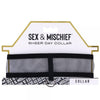 Sex & Mischief Sheer Day Collar - Adult Naughty Store