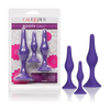 CalExotic Booty Call Booty Trainer Kit - The Ultimate Purple Pleasure for Anal Training