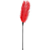 Introducing the Sensual Pleasures ETR-1 Arousing Red Feather Tickler Toy for Intimate Pleasure