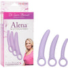 Dr. Laura Berman Alena Set of 3 Silicone Dilators - Vaginal Muscle Revitalization Kit for Women - Graduated Sizes for Gentle Dilation - Finger Loop for Easy Insertion - Intensify Sensation with Mini Bullet Vibrator - Premium Silicone - Pink