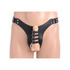 Leather Euphoria - Model X2 - Male Chastity Harness with Anal Plug - Sensual Pleasure - Black