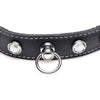 Bling Vixen Seductive Leather Choker with Clear Rhinestones: Sensual Unisex BDSM Collar for Neck and Beyond, Model SLC-200, Black