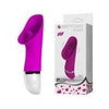 Introducing the Sensual Pleasure Co. FlexiGasm Textured Teasers Vibrator 