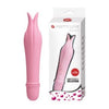 Savour the Exclusive Pleasures with Blissful Pleasures Edward Battery-Powered Pink Dolphin Vibrator Model 137mm for Women - G-Spot Stimulation in Rose Pink - Adult Naughty Store