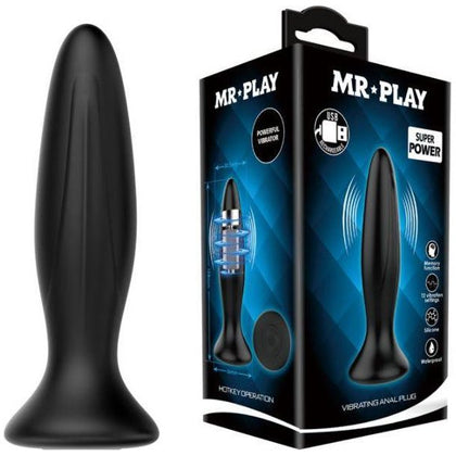 Introducing the SensaSilk Rechargeable Butt Plug - Model RS-12: The Ultimate Pleasure Experience for All Genders, Designed for Anal Stimulation in Luxurious Black