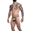 Cut For Men Rainbow Briefkini - Model S: A Stylish and Sensual Men's Rainbow Swim Brief for Ultimate Pleasure - Adult Naughty Store