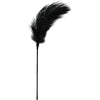 Seductive Pleasures: Black Feather Tickler FTB-001 - Gender-Inclusive Sensual Toy for Intimate Bliss - Adult Naughty Store