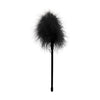Ouch! Feather Tickler - Model F27 Unisex Sensory Play Toy in Black