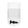 Ouch Silicone Bubble Butt Plug - Model B17 - Unisex Anal Stimulator - Black