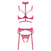 Muse PL010RED: Seductive Red Lace 4-Piece Set for Provocative Pleasure - Adult Naughty Store