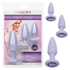 Introducing the Sensual Pleasures Crystal Booty Kit - Model 1X69 - Unleash Your Desires with this Alluring Anal Adventure! (Purple)