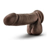 Blush Novelties XX Midas Chocolate Brown Realistic Dual Density Dildo - Model XX123 - For Him and Her - Unleash Pleasure in the Deepest Shades of Chocolate