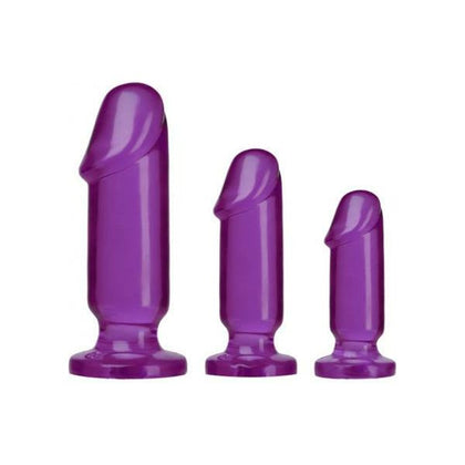 Crystal Jellies Anal Starter Kit - Purple: The Ultimate Beginner's Pleasure Package - Adult Naughty Store