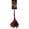 Fantasy Tickler Pleasure Feather Red - Sensual Feather Tickler for Intimate Pleasure (Model FT-001) - Unisex - Delightful Stimulation for Alluring Sensations - Adult Naughty Store