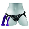 Sportsheets Anal Explorer Kit - Beginners Harness with Slim SKYN and Slimmer PLEASE Dildos - Unisex Anal and Vaginal Pleasure - Model AEK-1001 - Black - Adult Naughty Store