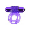 Fantasy C-Ringz Vibrating Super Ring Purple - The Ultimate Pleasure Enhancer for Explosive Orgasms and Extended Intimacy - Adult Naughty Store