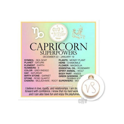 Warm Human Zodiac Capricorn Zodiac Card + Charm Package - Adult Naughty Store