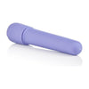 Introducing the Power Tingler Mini Vibrator - The Ultimate Pleasure Companion for Women - Model PTM-001 - Purple - Adult Naughty Store