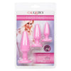 Euphoria Crystal Booty Kit - Model FT-CK001 - Unisex Anal Pleasure - Pink - Adult Naughty Store