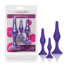 Cal Exotics Booty Call Booty Trainer Kit - Model BCK-2021 - Unisex Anal Pleasure - Purple - Adult Naughty Store