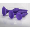 Cal Exotics Booty Call Booty Trainer Kit - Model BCK-2021 - Unisex Anal Pleasure - Purple - Adult Naughty Store