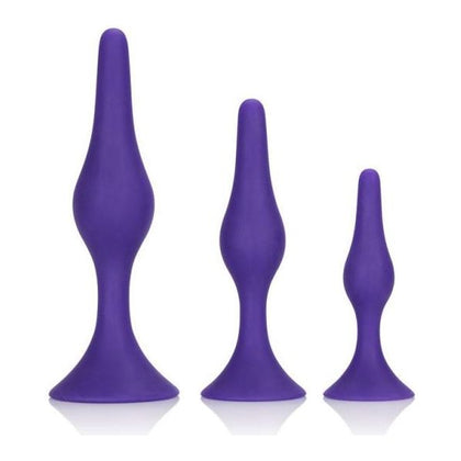 Cal Exotics Booty Call Booty Trainer Kit - Model BCK-2021 - Unisex Anal Pleasure - Purple