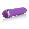 Introducing the Classic Chic Mini Vibrator Purple - 7 Function Pleasure Powerhouse for Women! - Adult Naughty Store