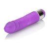 Shane's World Silicone Buddy Purple Vibrator: The Ultimate Compact Pleasure Companion for Intimate Delights - Adult Naughty Store