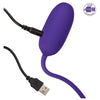 Cal Exotics Rechargeable Kegel Ball Starter Purple - Model E-1234 - Women's Vibrating Pelvic Floor Exerciser - Adult Naughty Store