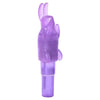 Shanes World Pocket Party Purple Vibrator - Compact and Powerful Pleasure for Women - Adult Naughty Store