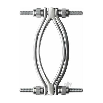 Introducing the Exquisite Pleasure Stainless Steel Adjustable Pussy Clamp - Model X1.15 - For Women - Clitoral and Vaginal Stimulation - Silver - Adult Naughty Store