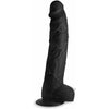 Hung Harry Dildo W-balls 11.75 - Realistic Black Pleasure Toy for Deep Penetration and Hands-Free Fun
