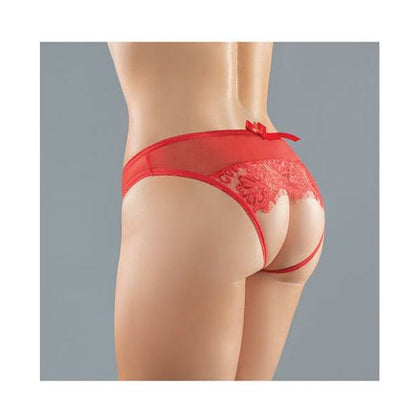 Adore Expose Panty Red O-s - Seductive Sheer Mesh Bikini Panty for Women, Enhances Booty Shape, Size: One Size - Adult Naughty Store