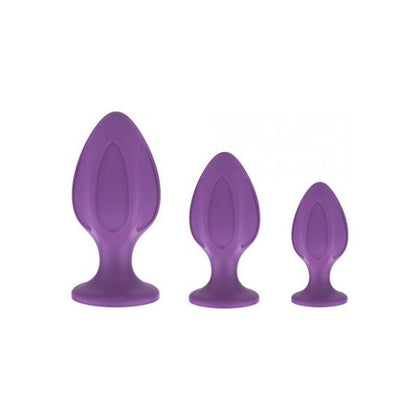Nobü Rainbow Silicone Plug Set - Purple: Luxurious Pleasure for Anal Delights