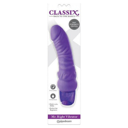 Classix Mr. Right Vibrator - The Ultimate Pleasure Experience for Women - Purple - Adult Naughty Store