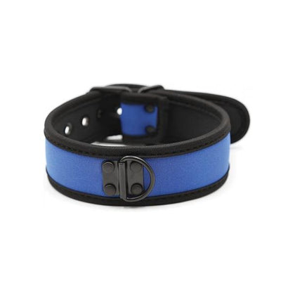 Plesur Neoprene Puppy Collar - Blue - Adult Naughty Store