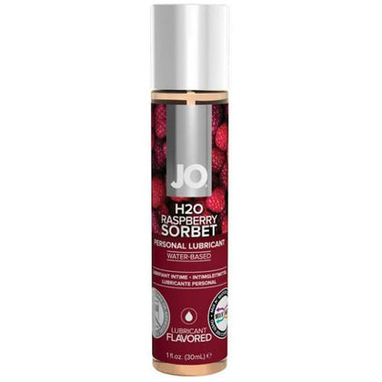 System JO H2O Flavored Lubricant Raspberry 1oz

Introducing the Sensational System JO H2O Flavored Lubricant - Raspberry Sorbet 1oz for Enhanced Pleasure and Intimate Moments