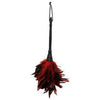 Frisky Feather Duster Red - Sensual Seduction Feather Tickler for Couples, Model FFD-101, Unisex, Tease and Tickle Your Way to Pleasure - Adult Naughty Store