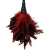 Frisky Feather Duster Red - Sensual Seduction Feather Tickler for Couples, Model FFD-101, Unisex, Tease and Tickle Your Way to Pleasure - Adult Naughty Store