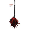 Frisky Feather Duster Red - Sensual Seduction Feather Tickler for Couples, Model FFD-101, Unisex, Tease and Tickle Your Way to Pleasure - Adult Naughty Store