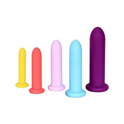 Sinclair Select Deluxe Silicone Dilator Set - Graduated Dildos for Vaginal and Anal Training - Model DS-5 - Women's Pleasure - Pink