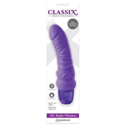 Classix Mr. Right Thick Personal Massager - Powerful Multispeed Vibrating Purple Pleasure Stick for Women - Adult Naughty Store