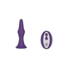 Femmefunn Pyra Small Purple Ribbed Vibrating Plug with Remote Control - Model NP2020-49 - For Intense Pleasure and Stimulation - Adult Naughty Store