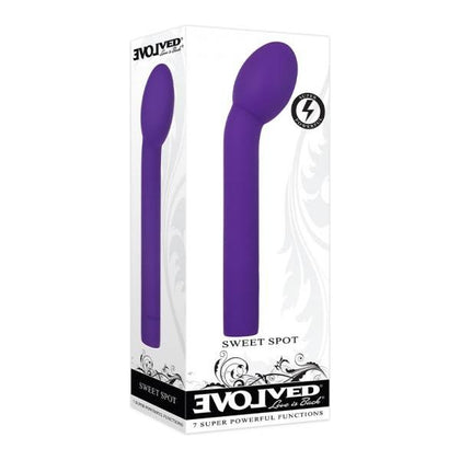 Evolved Sweet Spot Rechargeable Silicone G-Spot Vibrator - Model X1 - Purple - Adult Naughty Store