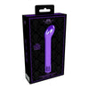 Royal Gems - Jewel Abs Rechargeable Bullet Vibrator - Model RG-001 - Unisex - Internal and External Pleasure - Purple - Adult Naughty Store