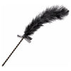 Frisky Feather Tickler - Elegant Black Ostrich Feather Sensual Teaser for Intimate Pleasure