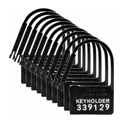 MasterLock™ 10 Pack Numbered Plastic Chastity Locks - Secure Control for Him and Her, Ideal for Polycarbonate Cages, Black