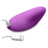 Introducing the Luxe Pleasure 8X Remote Control Panty Vibe - Model LP-2000: A Discreet and Sensational Pleasure Experience for Women in Purple