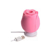 Bloomgasm Wild Rose 10x Suction Clit Stimulator - Pink

Introducing the Exquisite Bloomgasm Wild Rose 10x Suction Clit Stimulator - Your Path to Sensual Bliss! - Adult Naughty Store